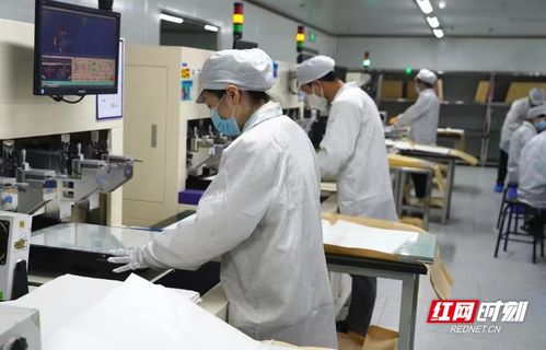 電子工匠展風采，勞務(wù)品牌促發(fā)展——冷水灘區(qū)以專業(yè)勞務(wù)品牌助力就業(yè)與產(chǎn)業(yè)雙贏